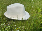 fedora
