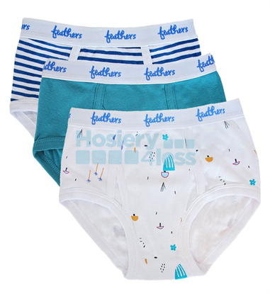 Picture of BOYS BOTANY PRINT 3 PACK BRIEFS